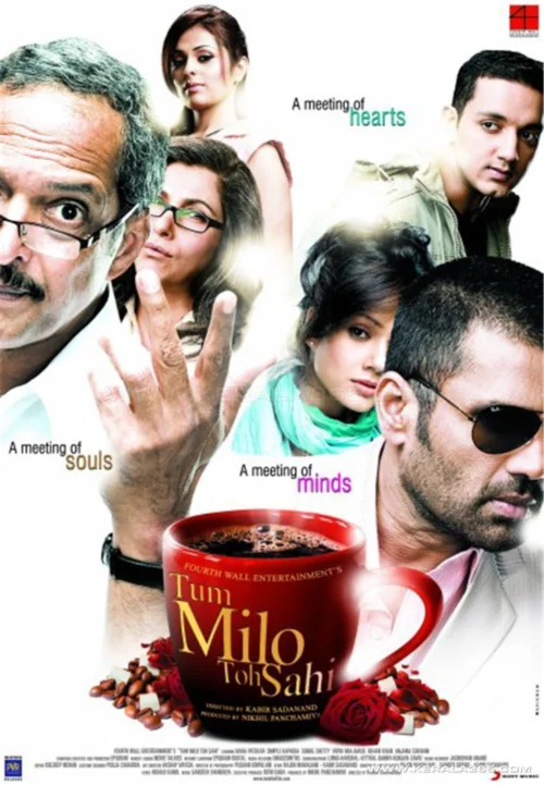 Tum Milo Toh Sahi Poster